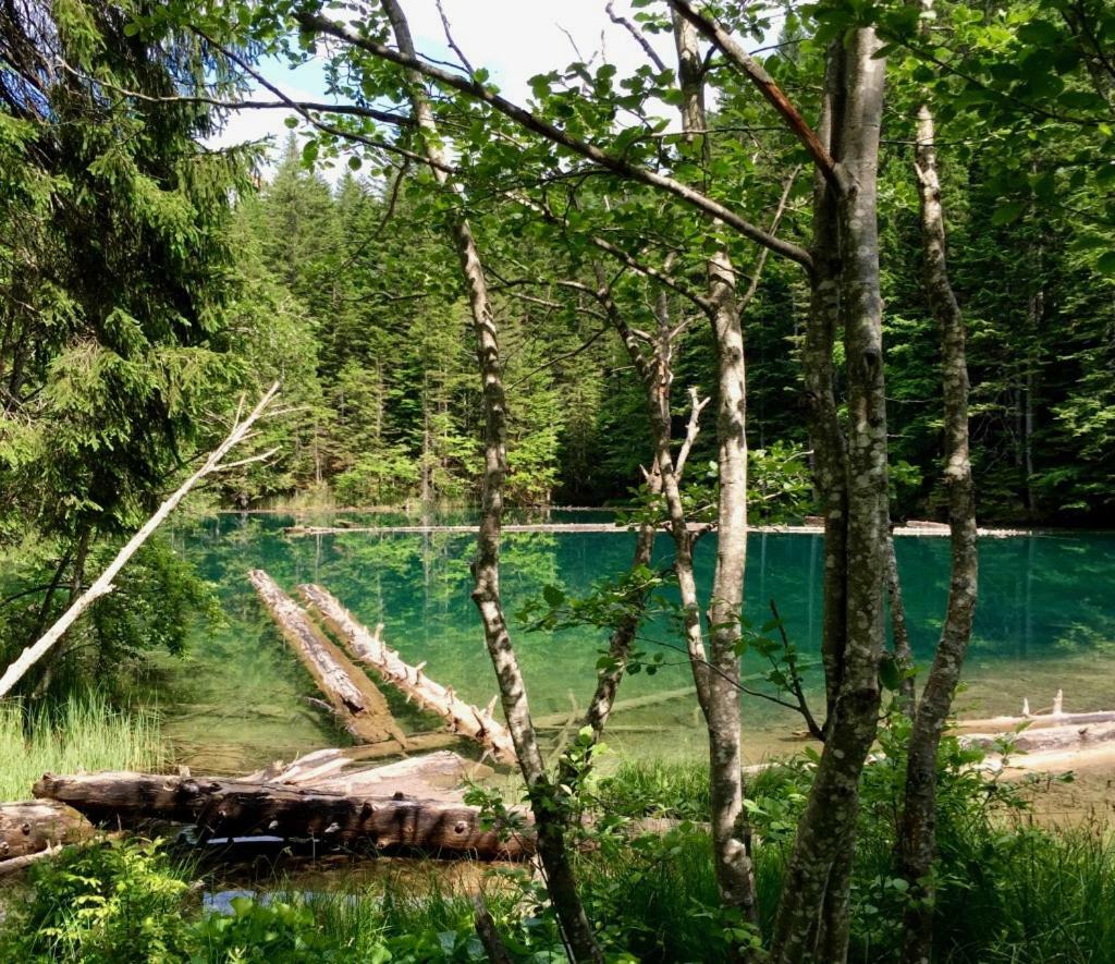 Вилла Waldnerhuette Хермагор Экстерьер фото